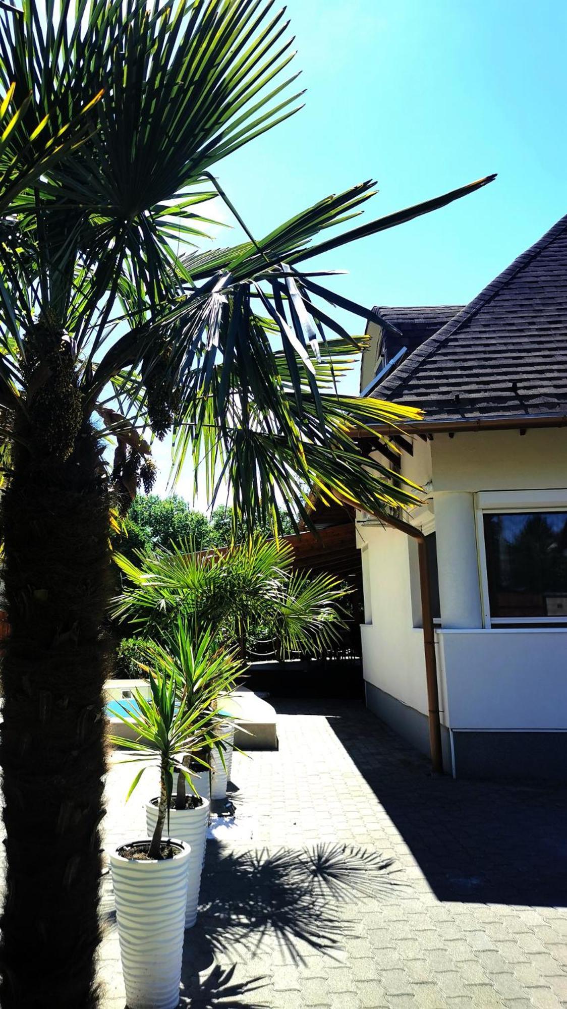 Balatonszárszó House4U 빌라 외부 사진